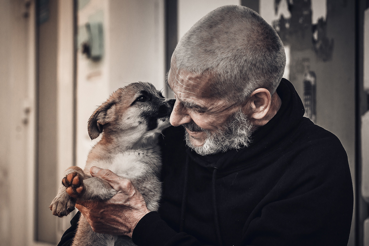 老人と犬